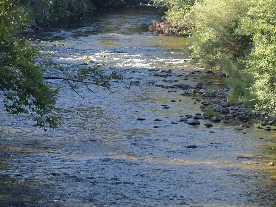 Butte Creek running clear over a gravel bar between willow-lined banks